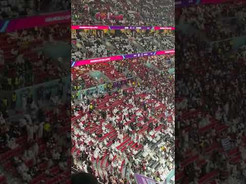 特尔施特根,展示康复训,练风采,世界杯赛程,2026世界杯,赛事安排,球队动态,比赛时间